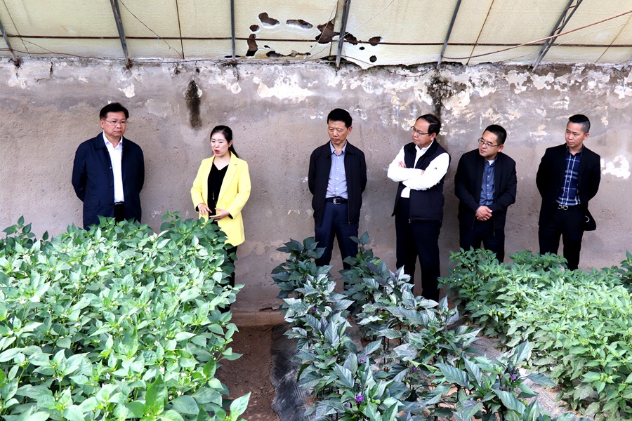 Canon 2019-05-16 Canon EOS 77D Canon EOS 77D F8.0 IMG_6783 22mm IMG_6783 ISO400 IMG_6783 Canon2.jpg