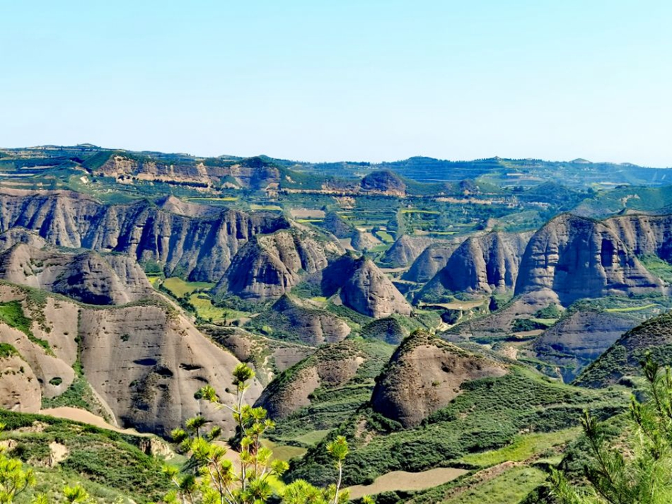 QQ图片20210118163026.jpg QQ图片20210118163026.jpg