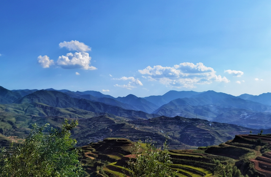 IMG_20210718_171404_mh1626607298597.jpg IMG_20210718_171404_mh1626607298597.jpg