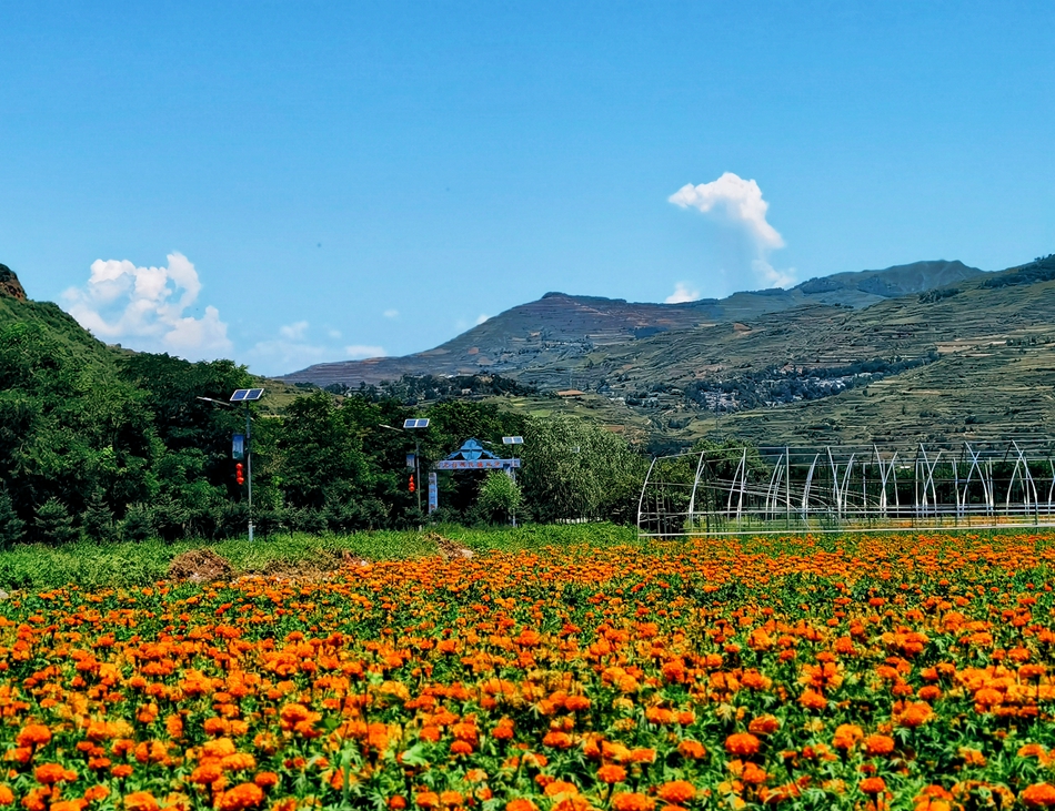 IMG_20210718_122643_edit_73868191335602_mh1626608.jpg IMG_20210718_122643_edit_73868191335602_mh1626608.jpg