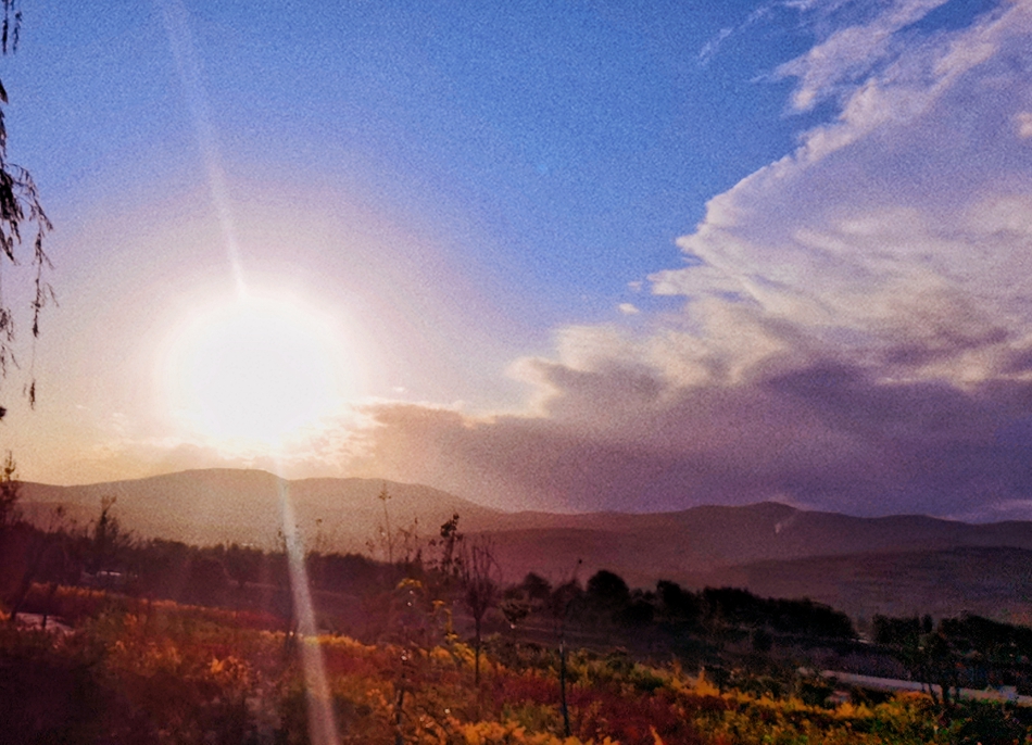 微信图片_20210719161816.jpg 微信图片_20210719161816.jpg