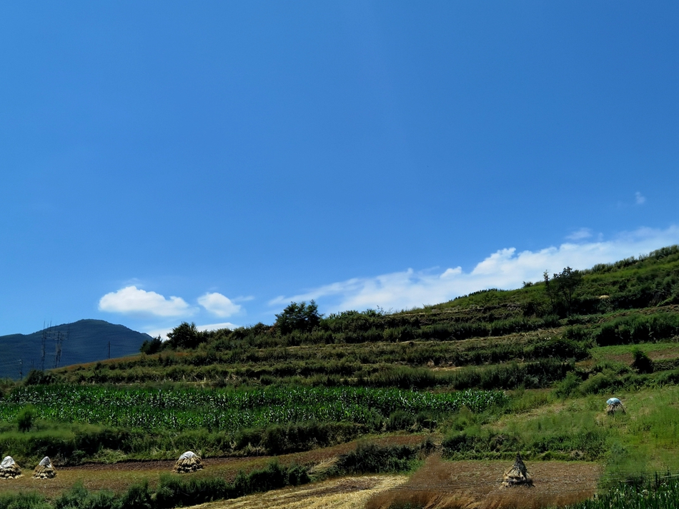 微信图片_20210719162317.jpg 微信图片_20210719162317.jpg