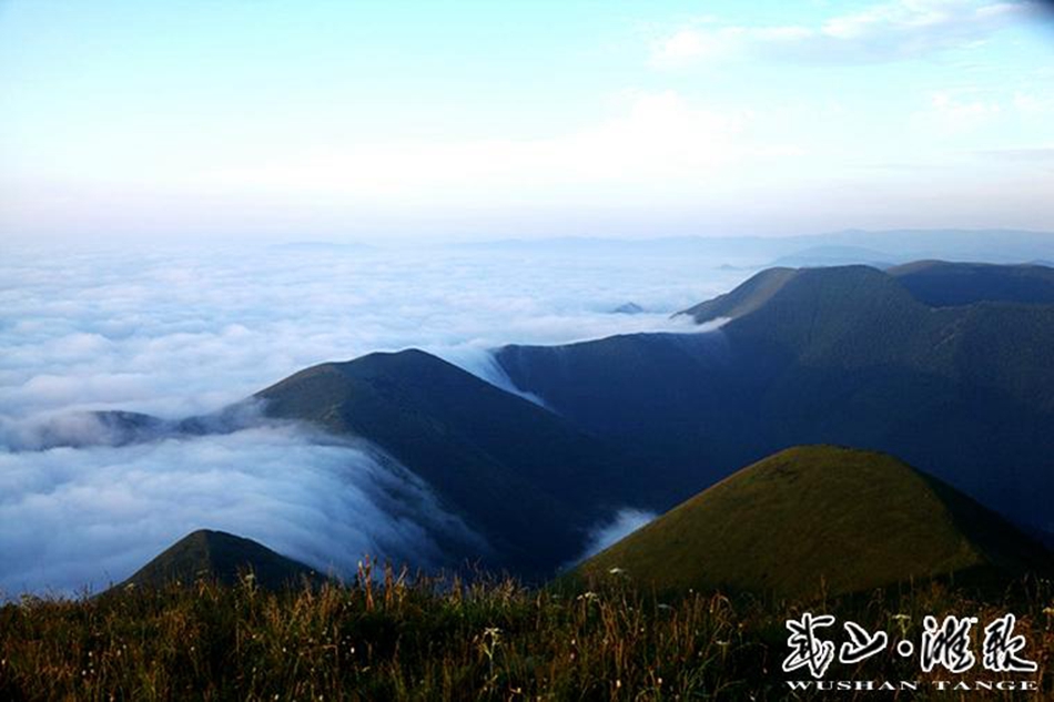 1507708369651501.jpg 6.jpg