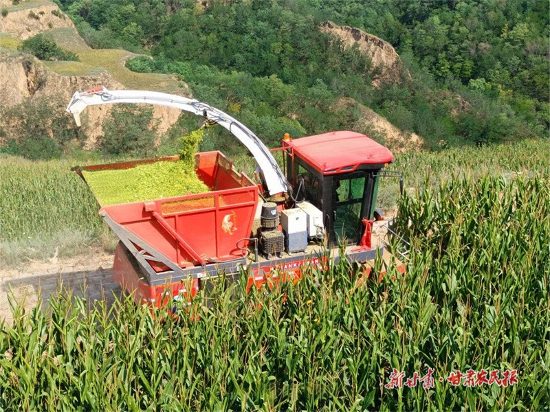 1697530912778088.jpg GetAttachment (8).jpg