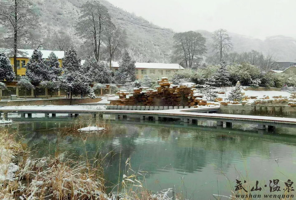 1517216887105212.jpg 7.jpg