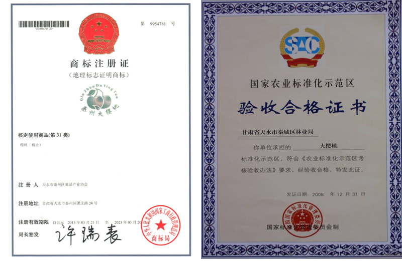 未标题-1 拷贝.jpg