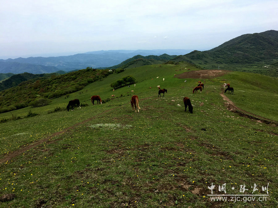 1505115176111818.jpg 16.jpg