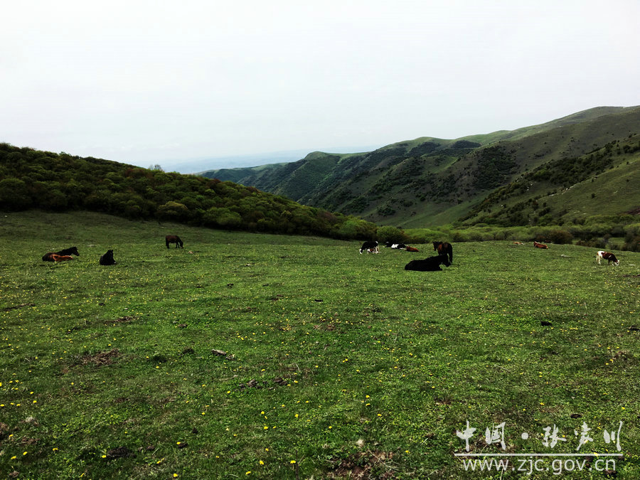 1505114918114675.jpg 11.jpg