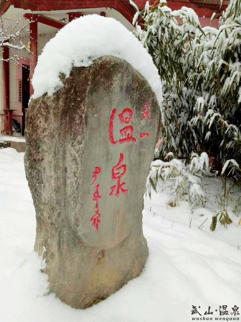 1517216910235039.jpg 9.jpg