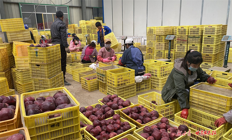 1697098018706473.jpg GetAttachment.jpg