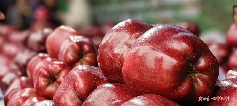 1695714016606445.jpg GetAttachment.jpg