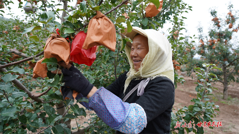 1695714891428792.jpg GetAttachment (6).jpg