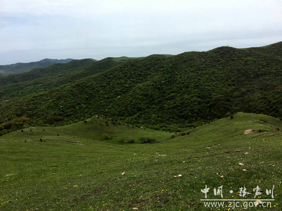 1505115387954229.jpg 14.jpg