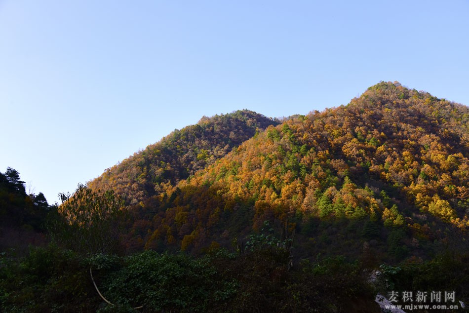 1510675781134749.jpg 2.jpg