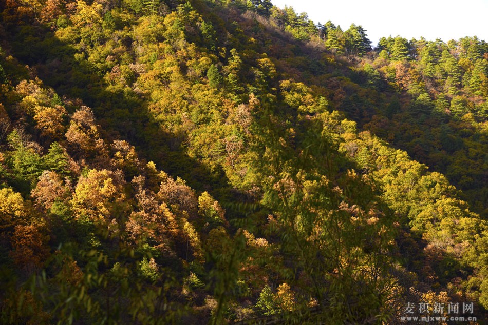 1510675794270712.jpg 3.jpg