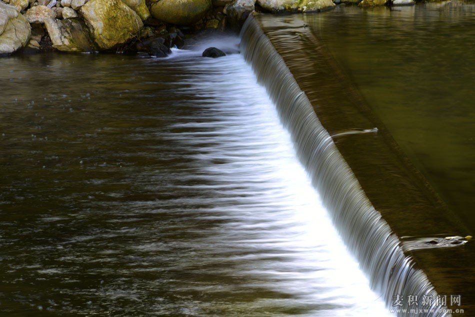 1510675872273036.jpg 8.jpg