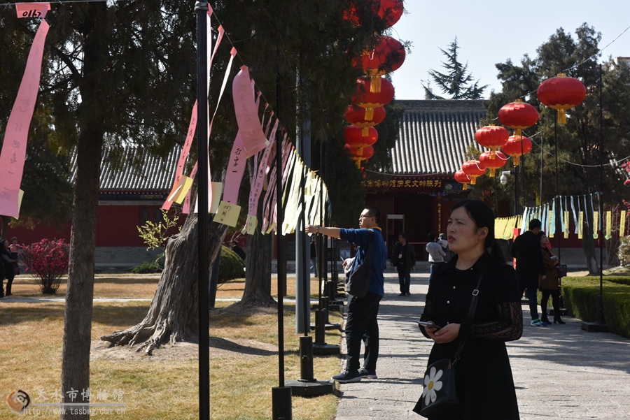 1519960222333797.jpg 5.jpg