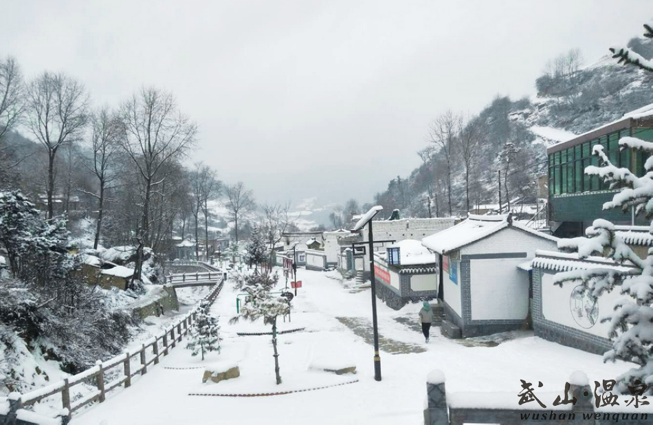 1517216798425240.jpg 1.jpg