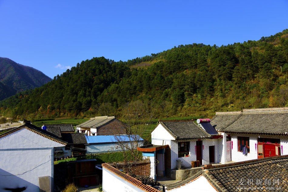 1510675809129052.jpg 4.jpg