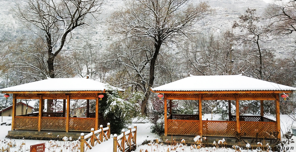 1517216828673017.jpg 3.jpg