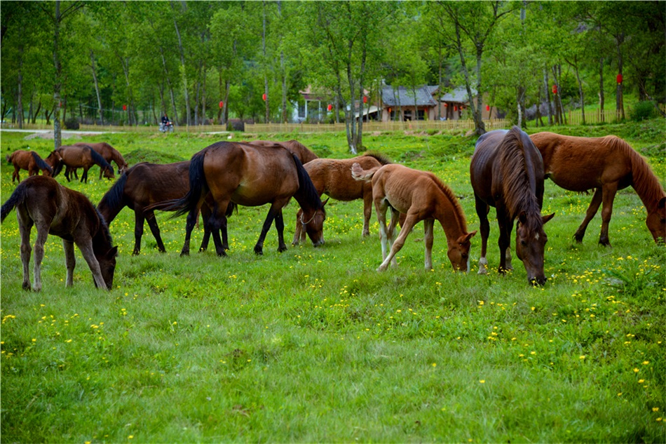 三皇谷.jpg 三皇谷.jpg