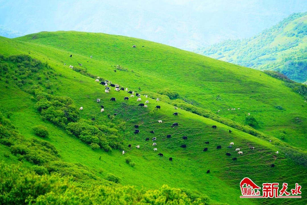 古坡草原2.jpg 古坡草原2.jpg