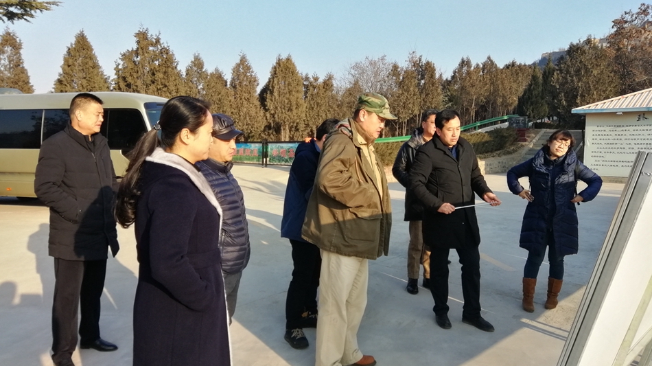 1548296963624348.jpg 9.jpg