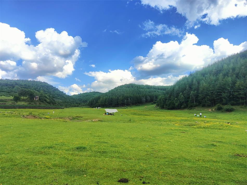 微信图片_20220806112117.jpg 微信图片_20220806112117.jpg