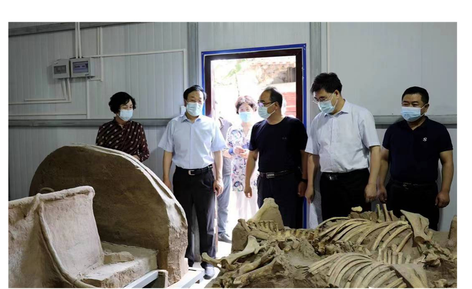 毛家坪遗址调研.jpg 毛家坪遗址调研.jpg