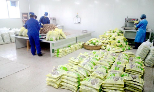 深学细悟提效能 科技创新激活力207.png