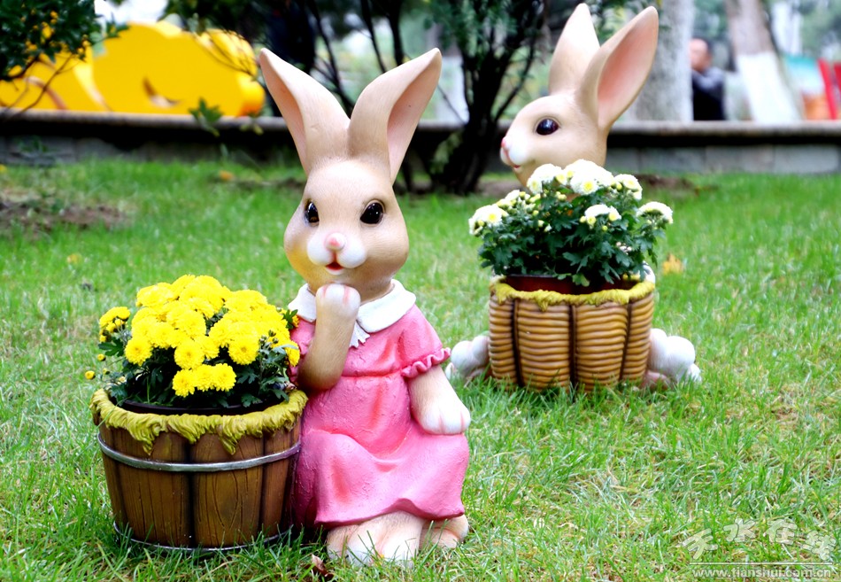 1508207740116981.jpg 8.jpg