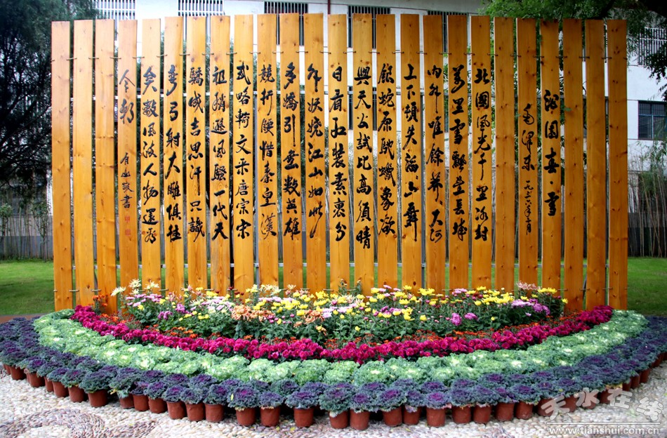 1508208087107454.jpg 17.jpg