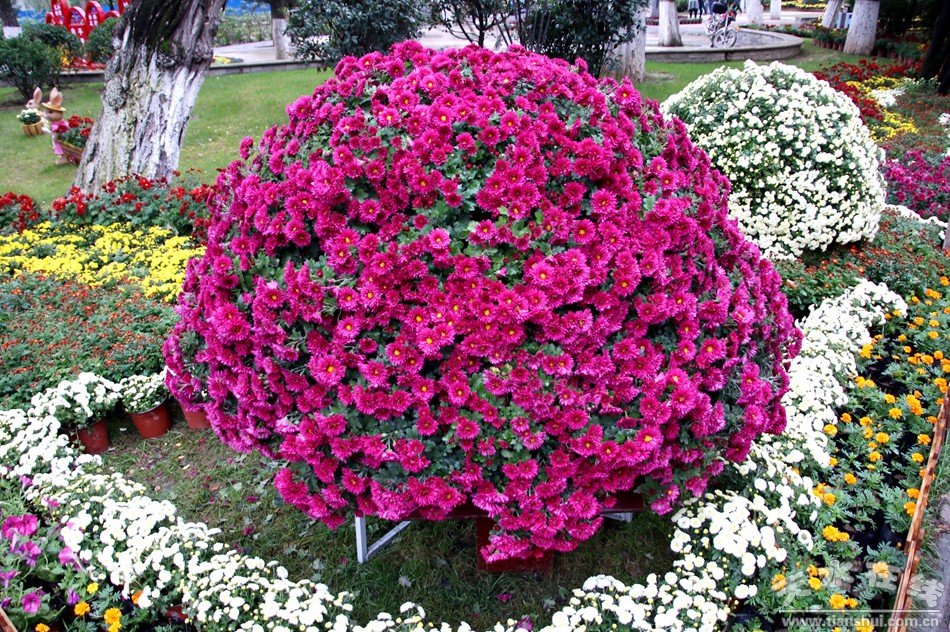 1508207579252811.jpg 5.jpg