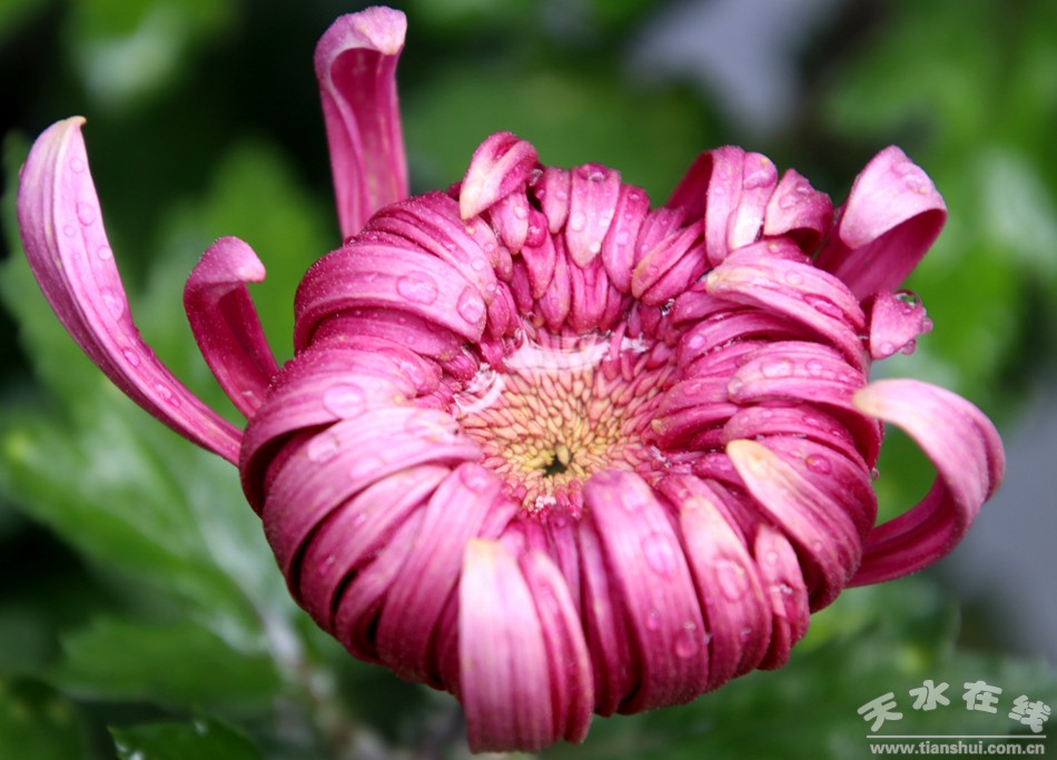 1508208205125850.jpg 19.jpg