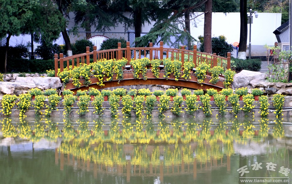 1508207923963438.jpg 13.jpg