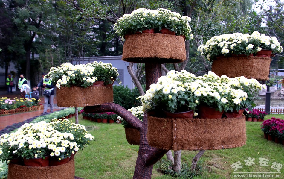 1508208181560876.jpg 18.jpg