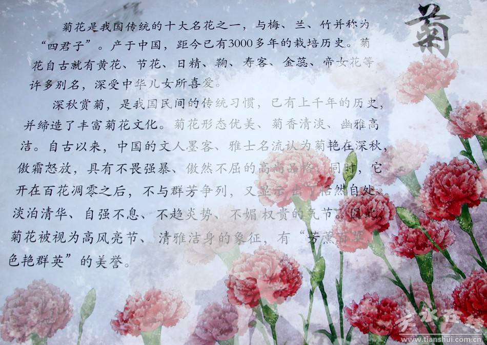 1508207658773367.jpg 7.jpg