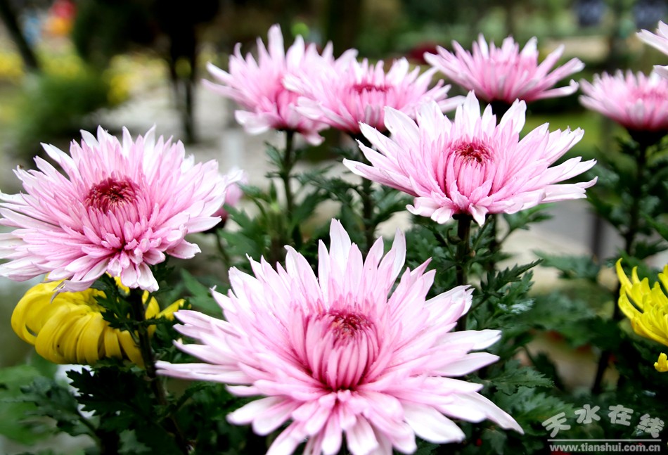 1508208276140761.jpg 22.jpg