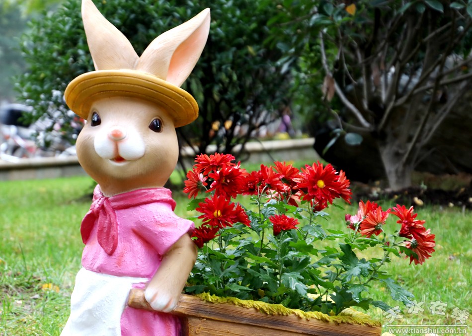 1508207401389523.jpg 3.jpg