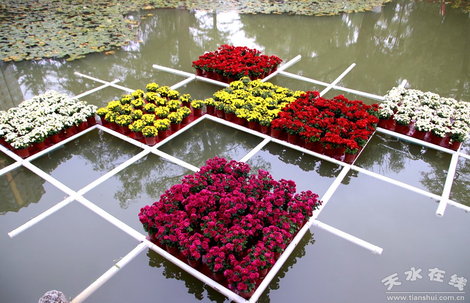 1508207813108207.jpg 11.jpg