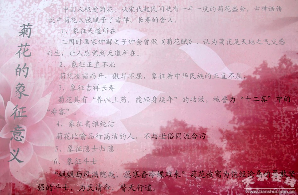 1508207639127111.jpg 6.jpg