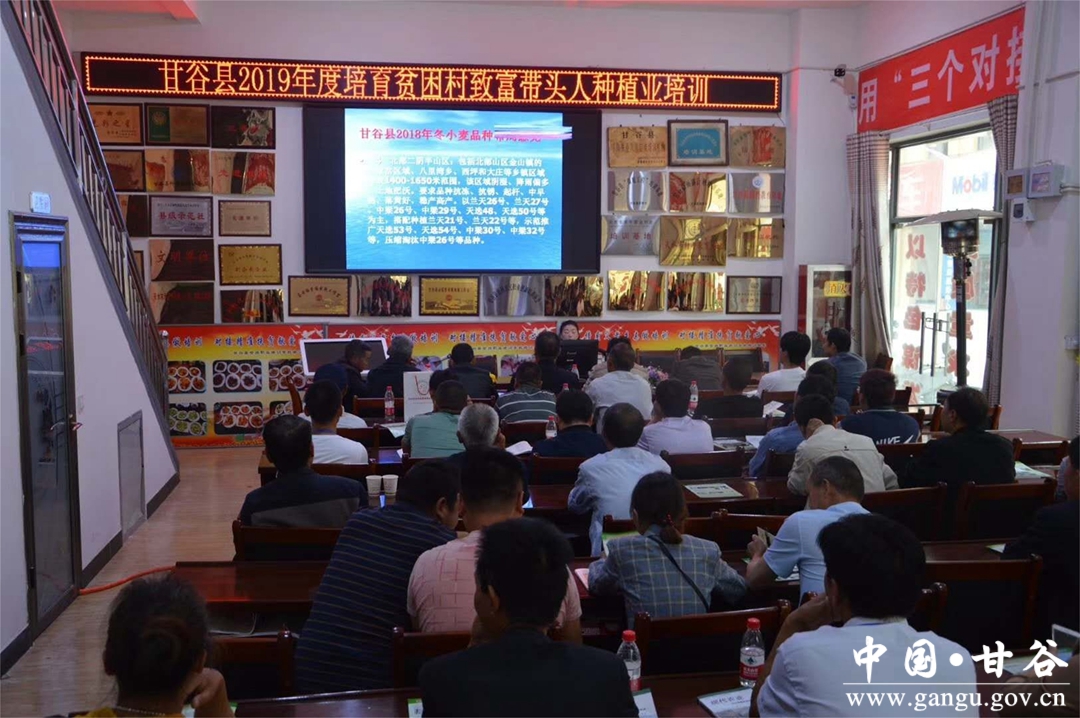 20190626032417525 (1).jpg