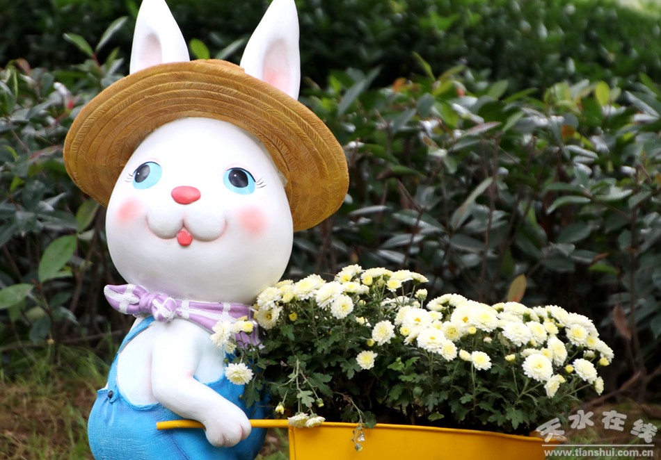 1508207756123656.jpg 9.jpg