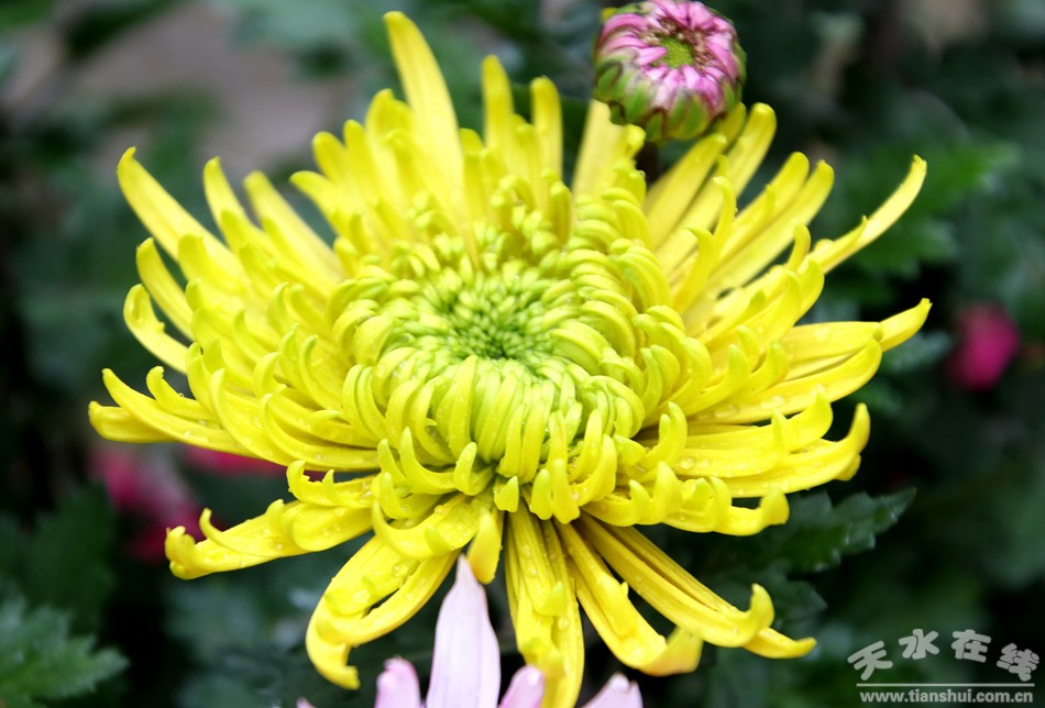 1508207968133398.jpg 14.jpg