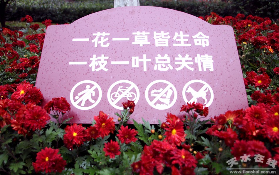 1508207310101903.jpg 2.jpg