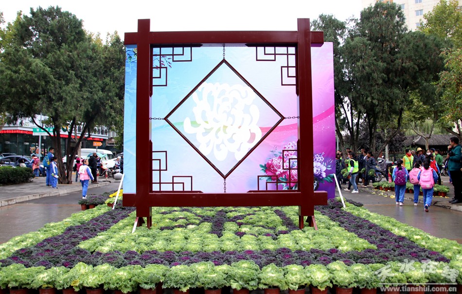 1508207496789547.jpg 4.jpg