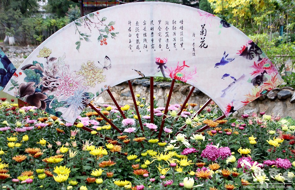 1508208042138063.jpg 16.jpg