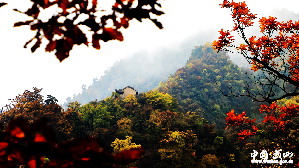 1509677039663980.jpg 12.jpg