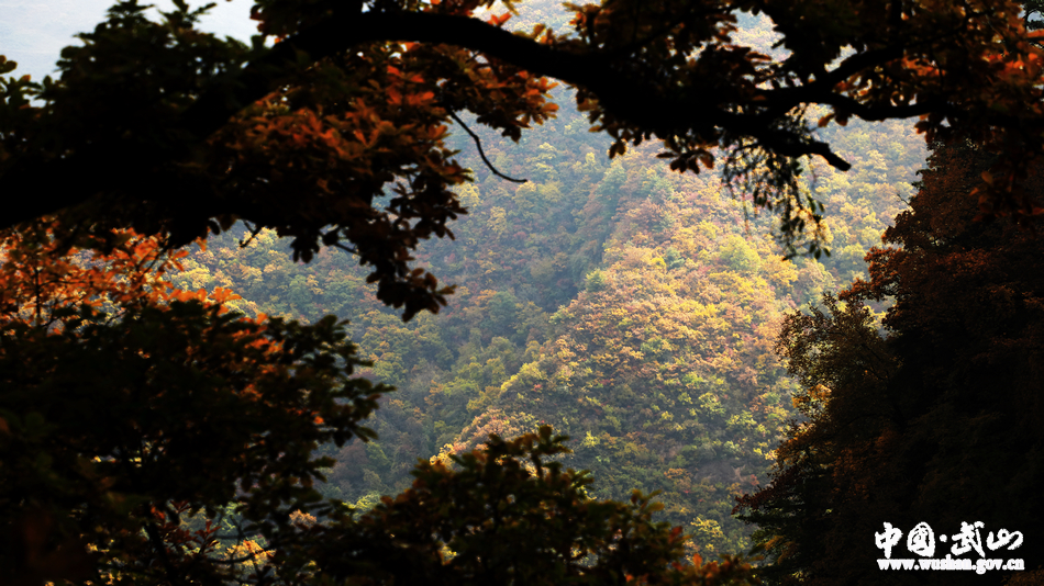 1509676924926216.jpg 10.jpg