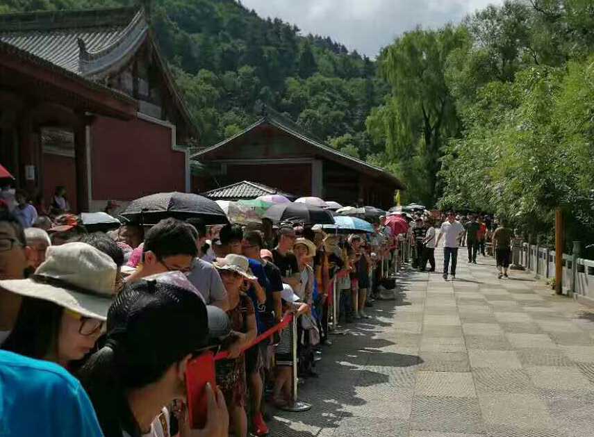 1502847064109515.jpg 1.jpg